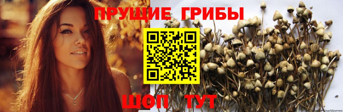 Кушва  Галлюциногенные грибы прущие грибы  Вход с VPN 